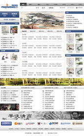 攜手共建 螞蟻娃娃電子商務(wù)網(wǎng)站建設(shè)方案